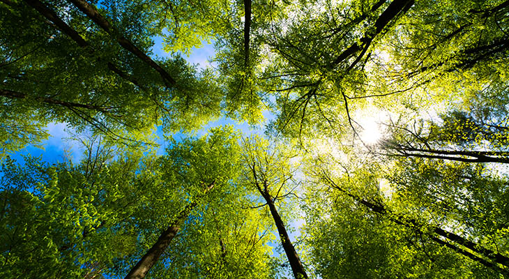 buergerwind_730x400-12