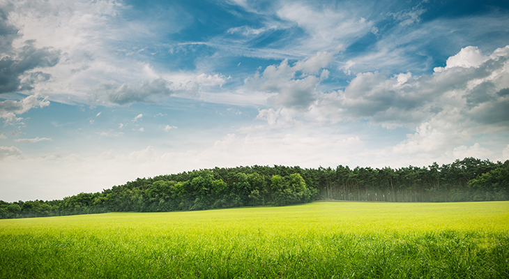 buergerwind_730x400-19